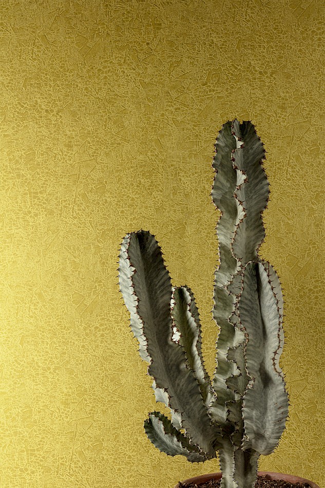 Wallpaper Havana Ramon Olive