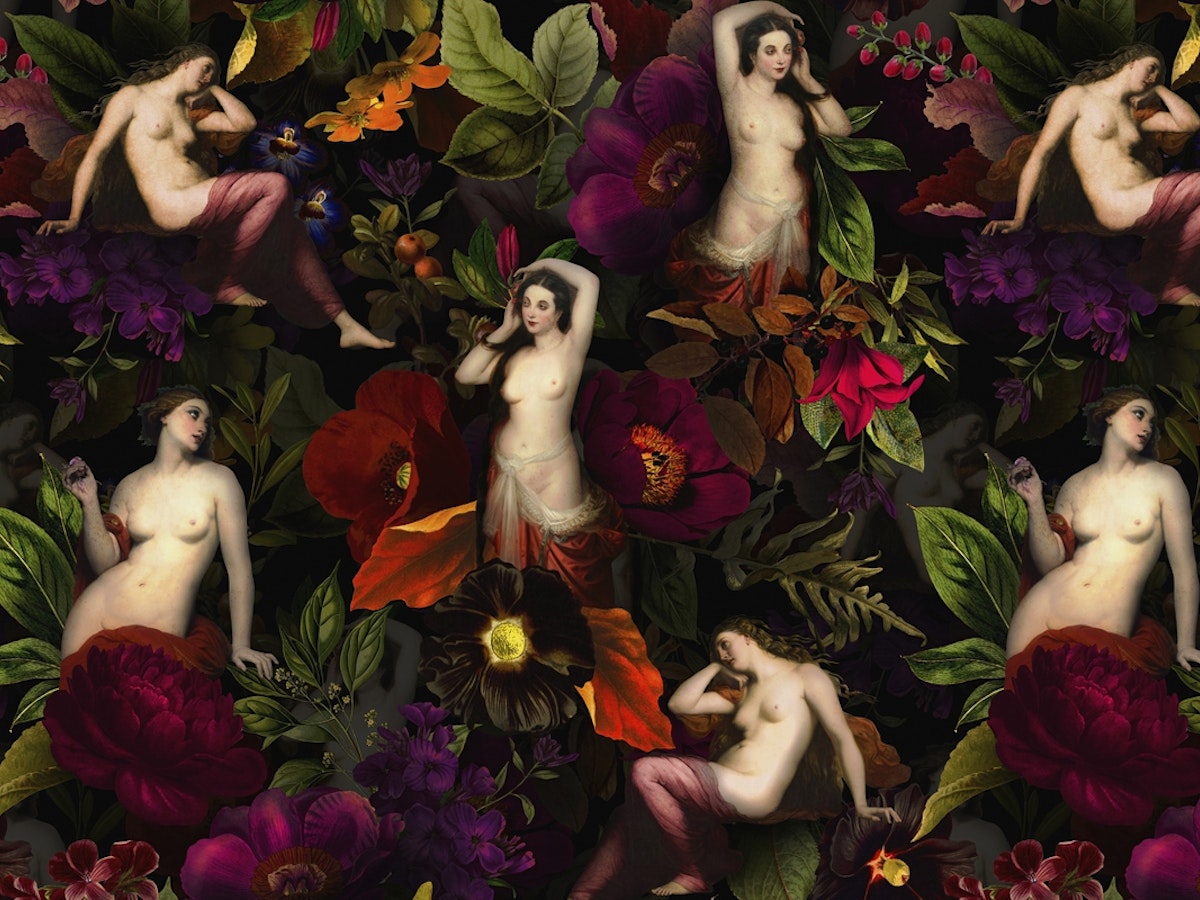 Baroque Midnight Venus Flower Garden Wall Mural | Happywall - Peel and Stick