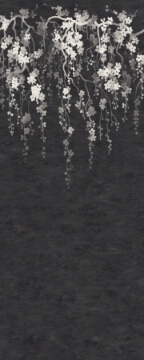 Sakura Blooms Wall Mural- Black