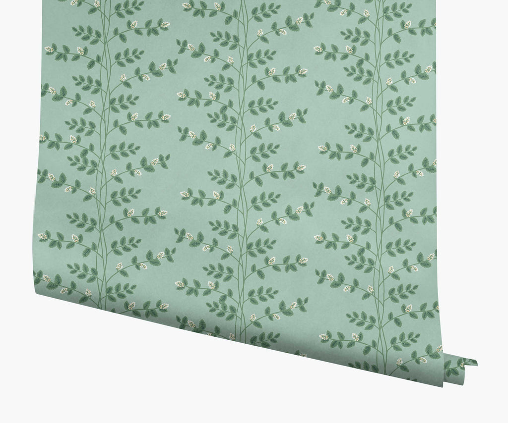 Climbing Vines Papier peint - Teal