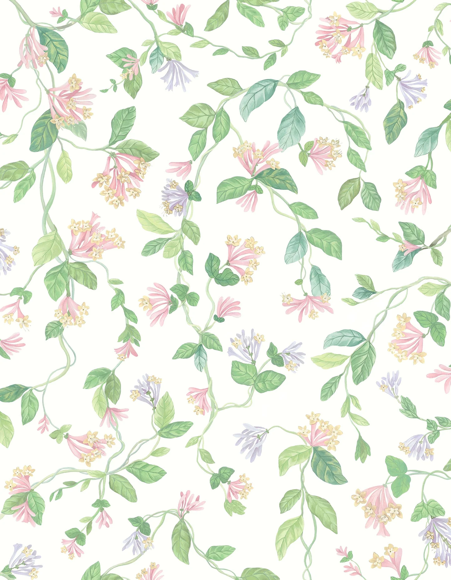 Flora
