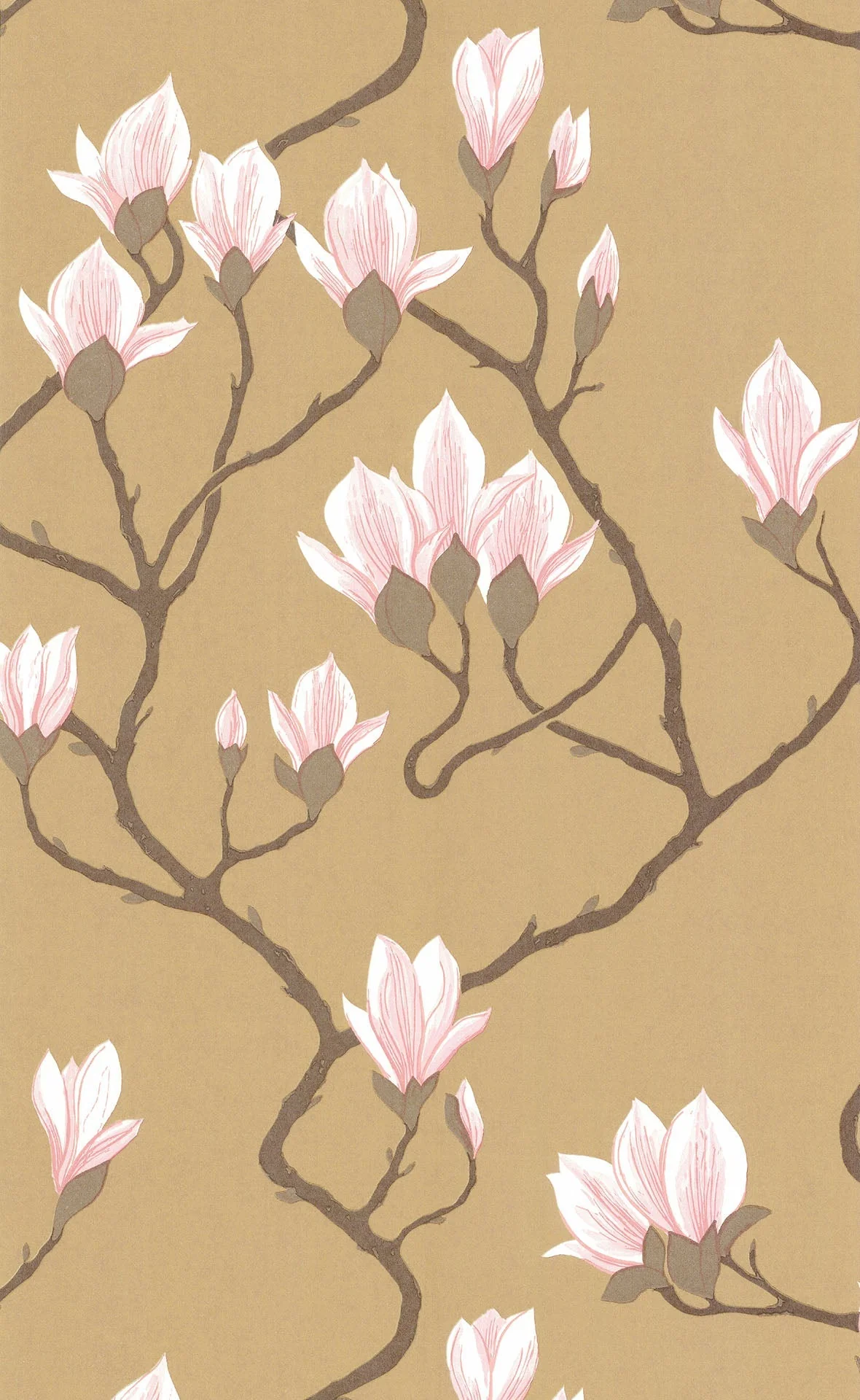 Magnolia