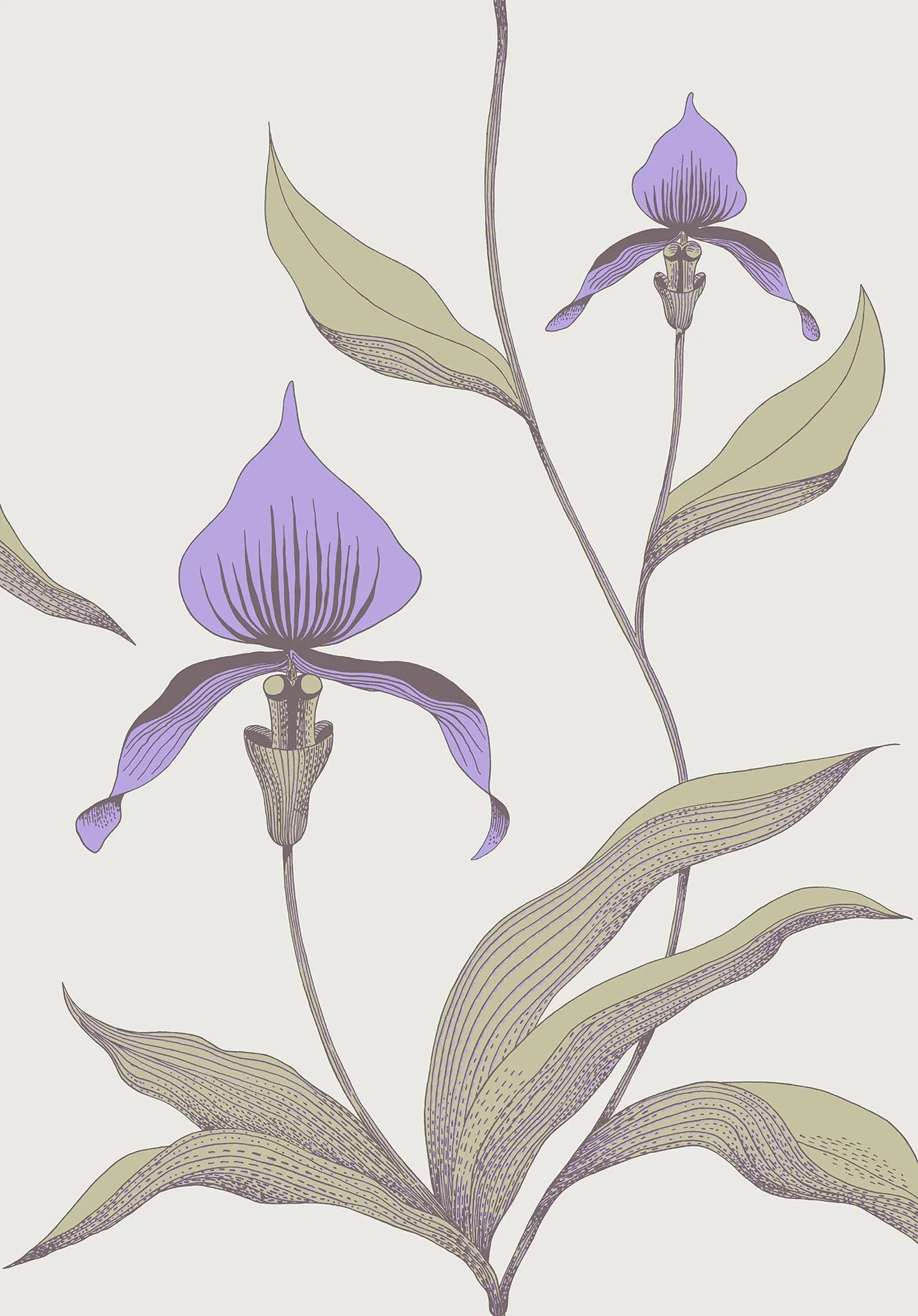 Orchid