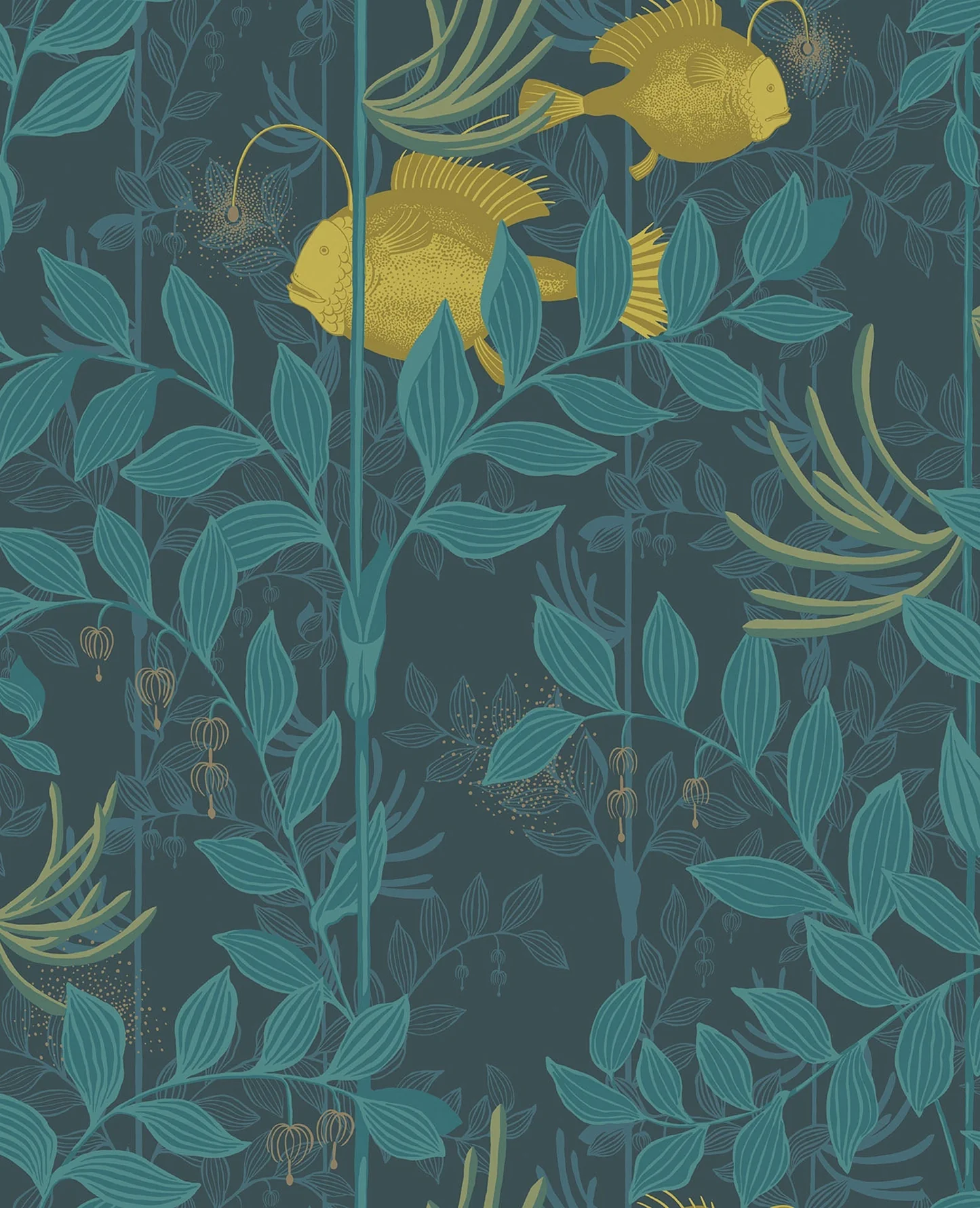 Nautilus