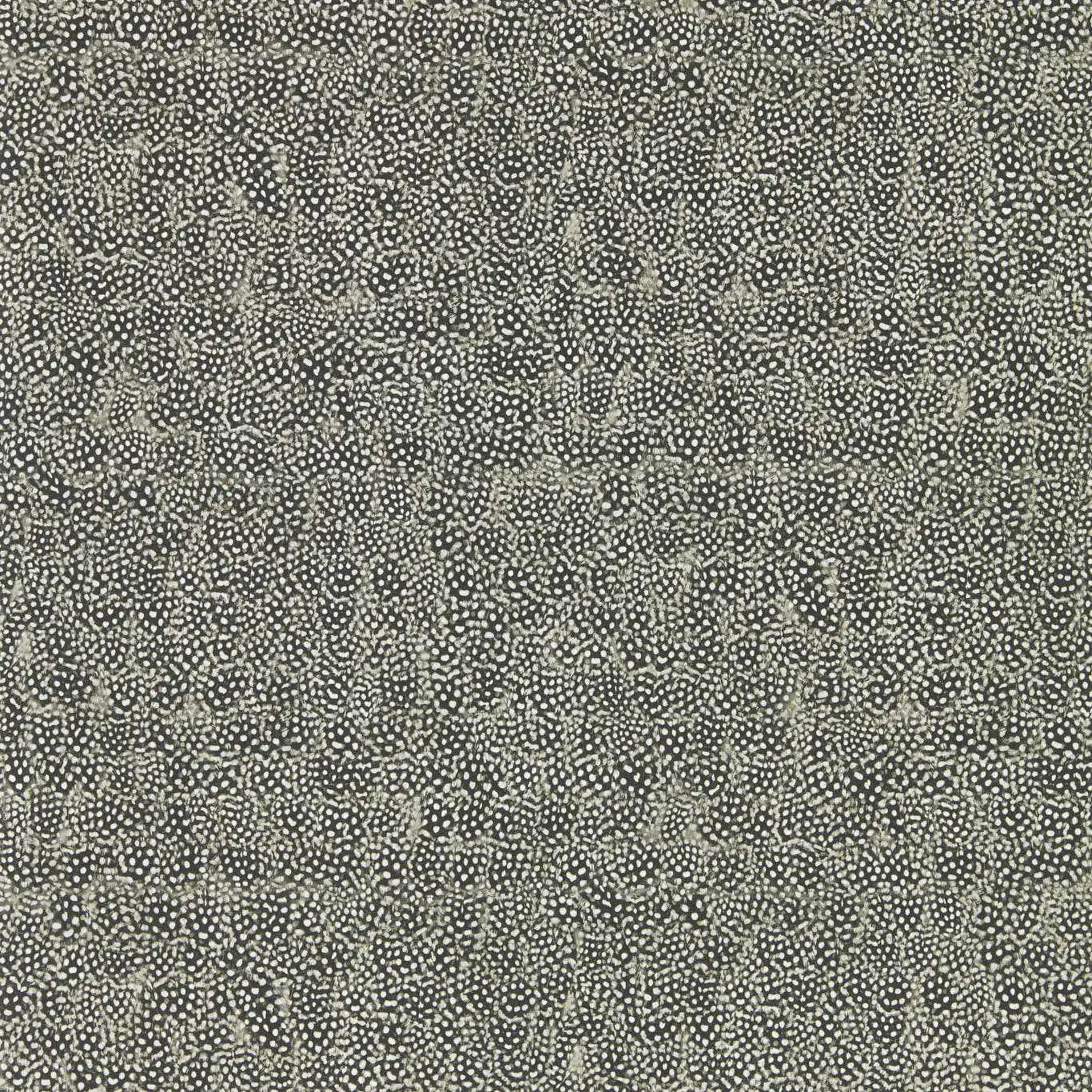 Guinea Wallpaper | Zoffany