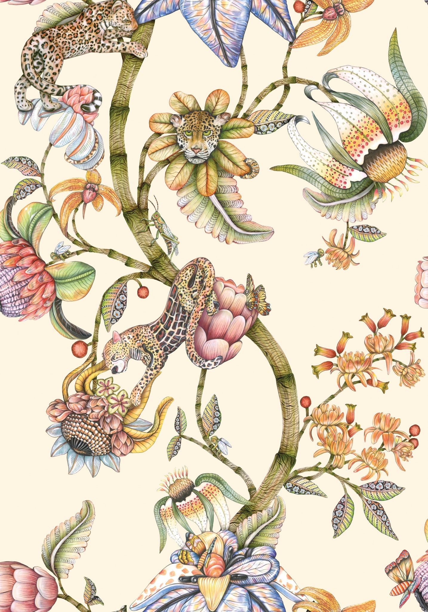 Protea Panthera