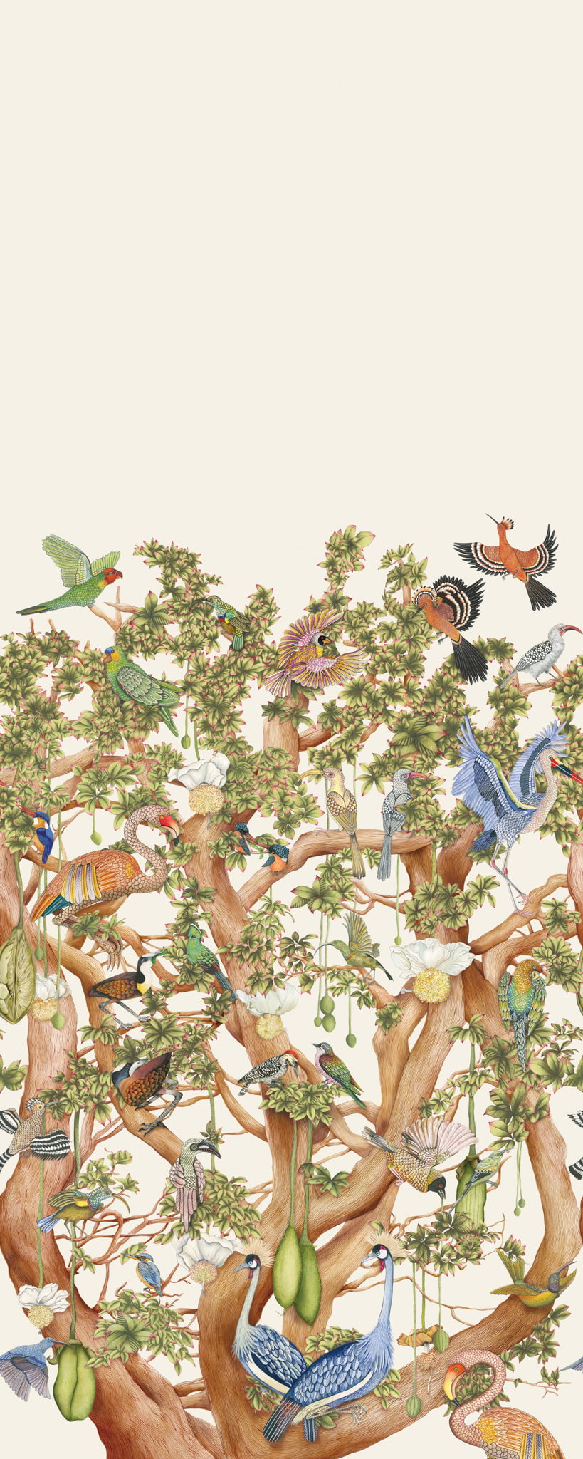 Tree of Life