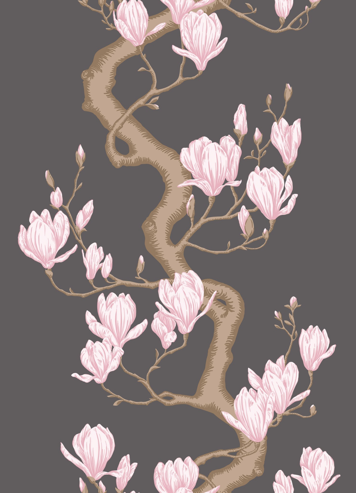 Magnolia Tree