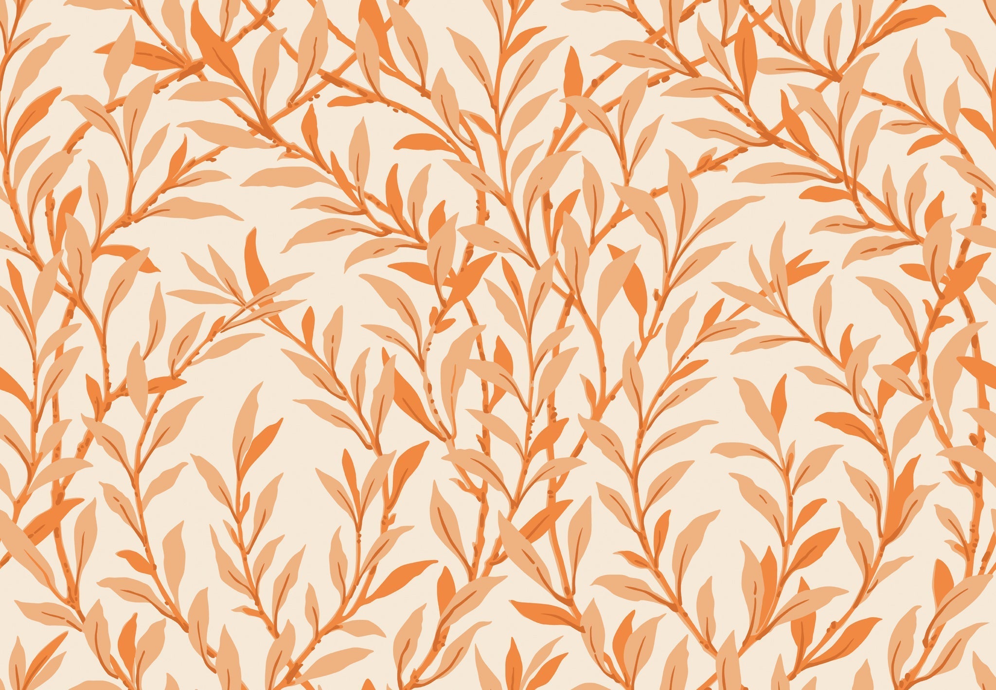 Willow Branch