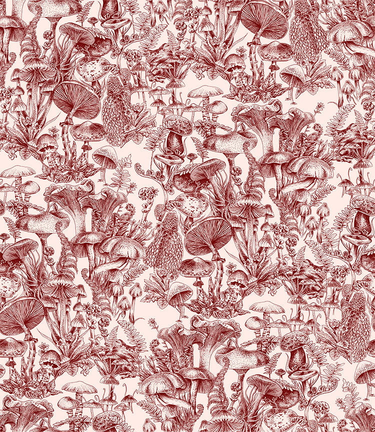Fungi Forest