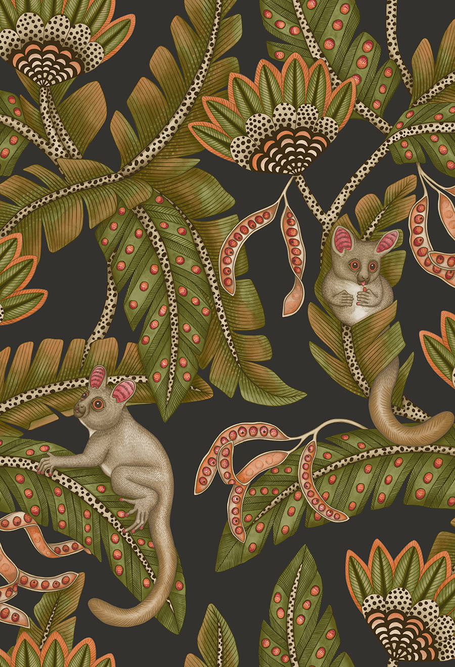 Bush Baby