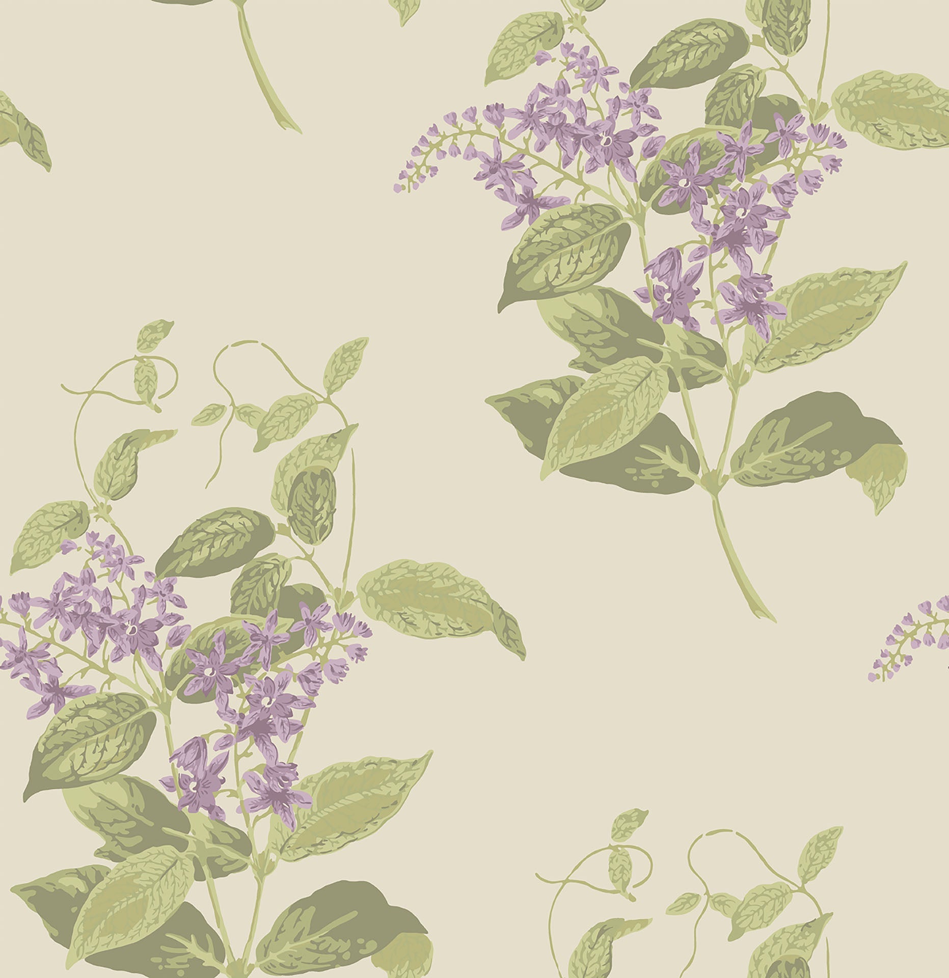 Madras Violet