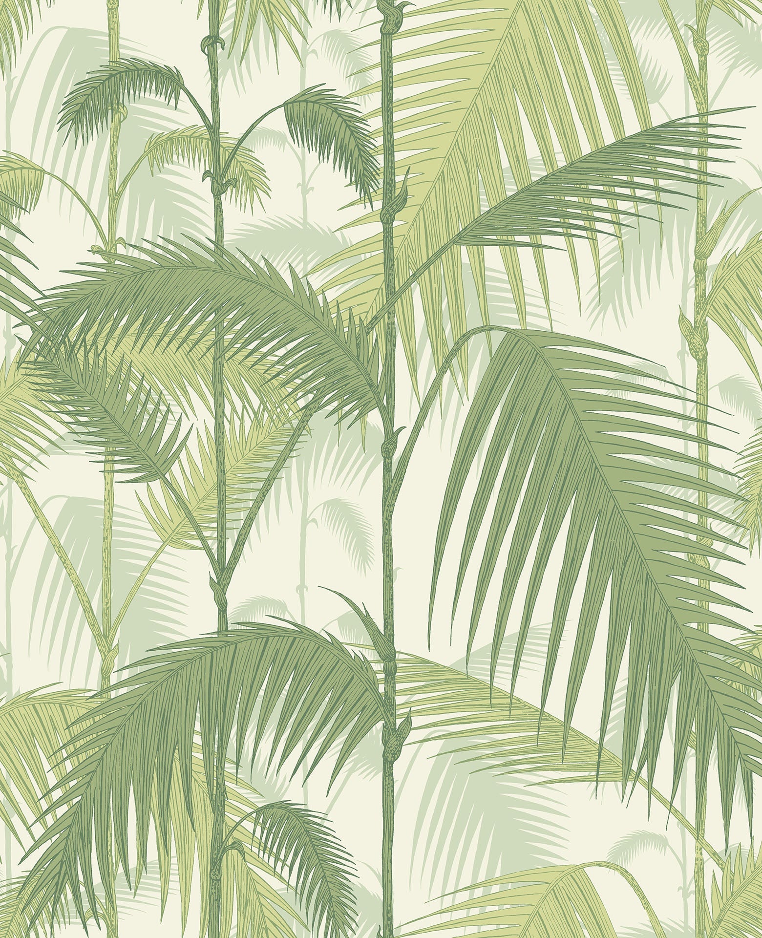 Palm Jungle