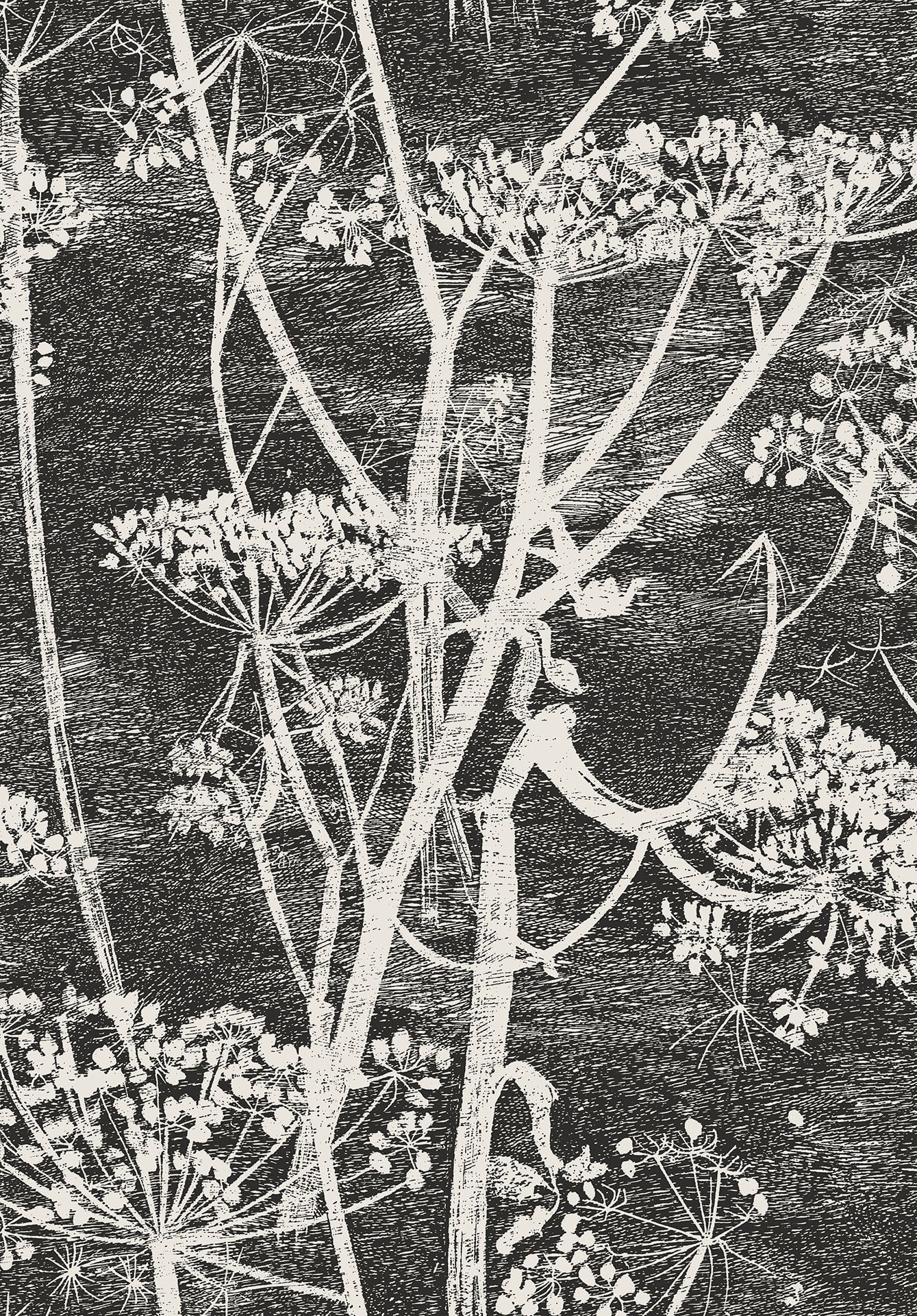 Cow Parsley