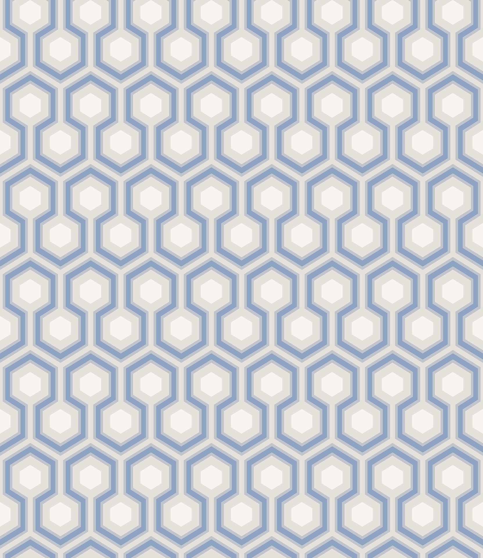 Hicks' Hexagon