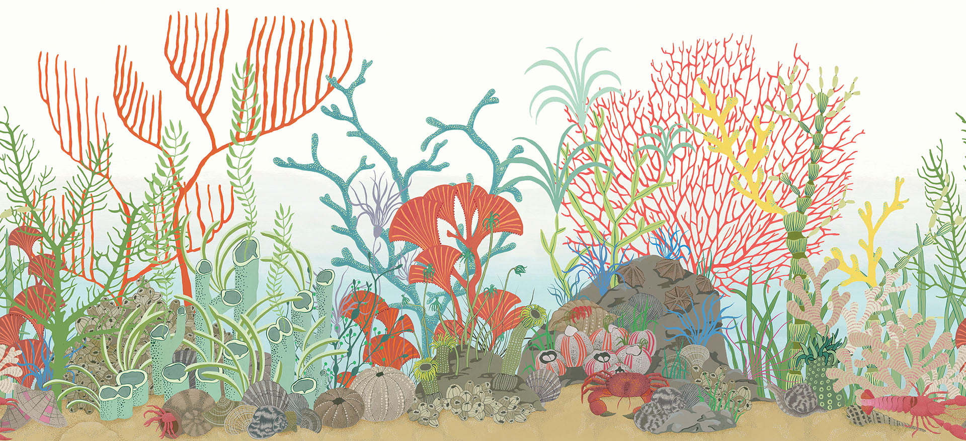 Archipelago Border