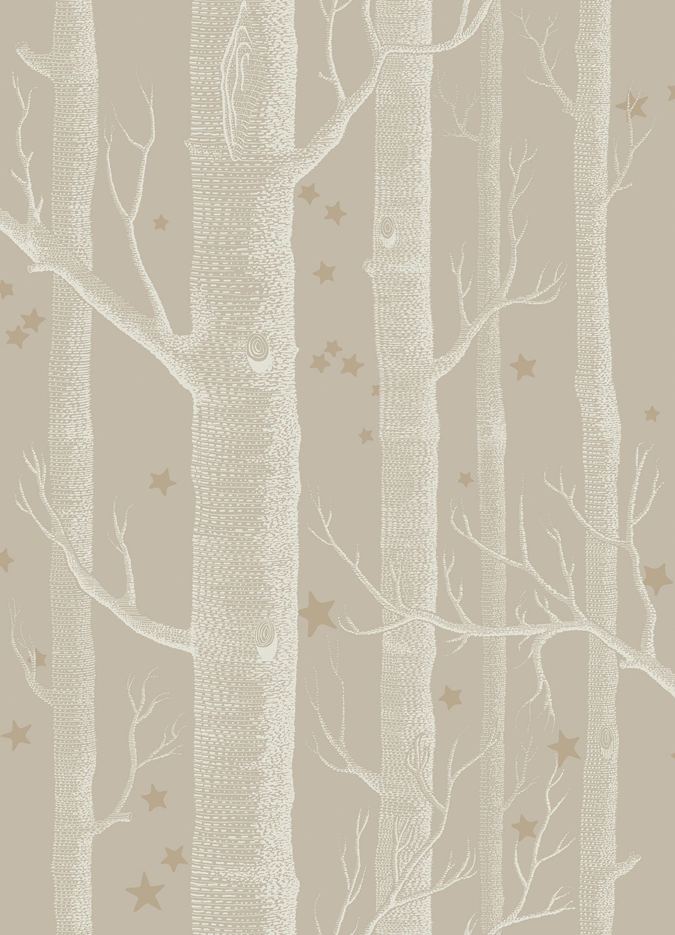 Woods & Stars