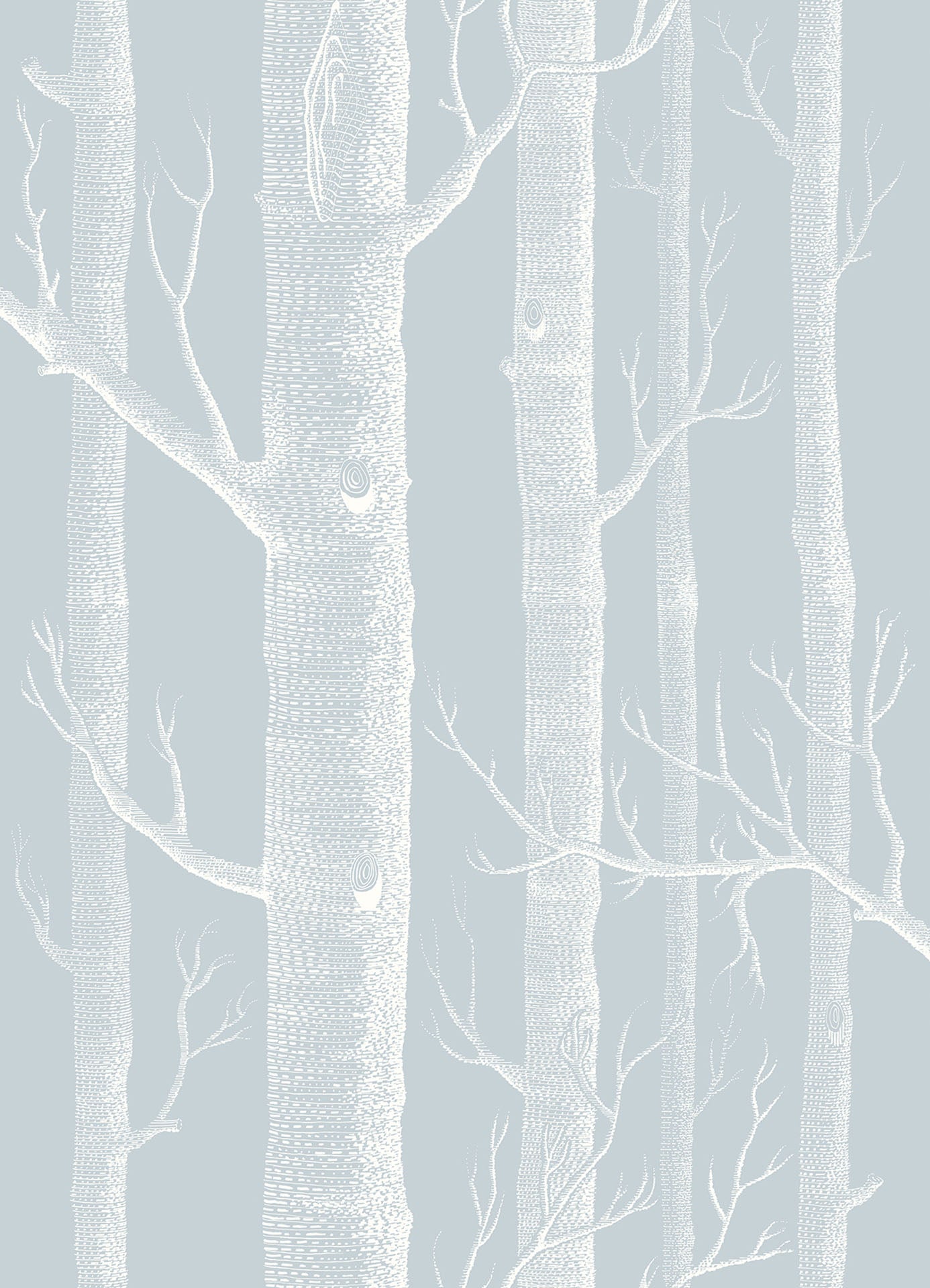 Woods Whimsical