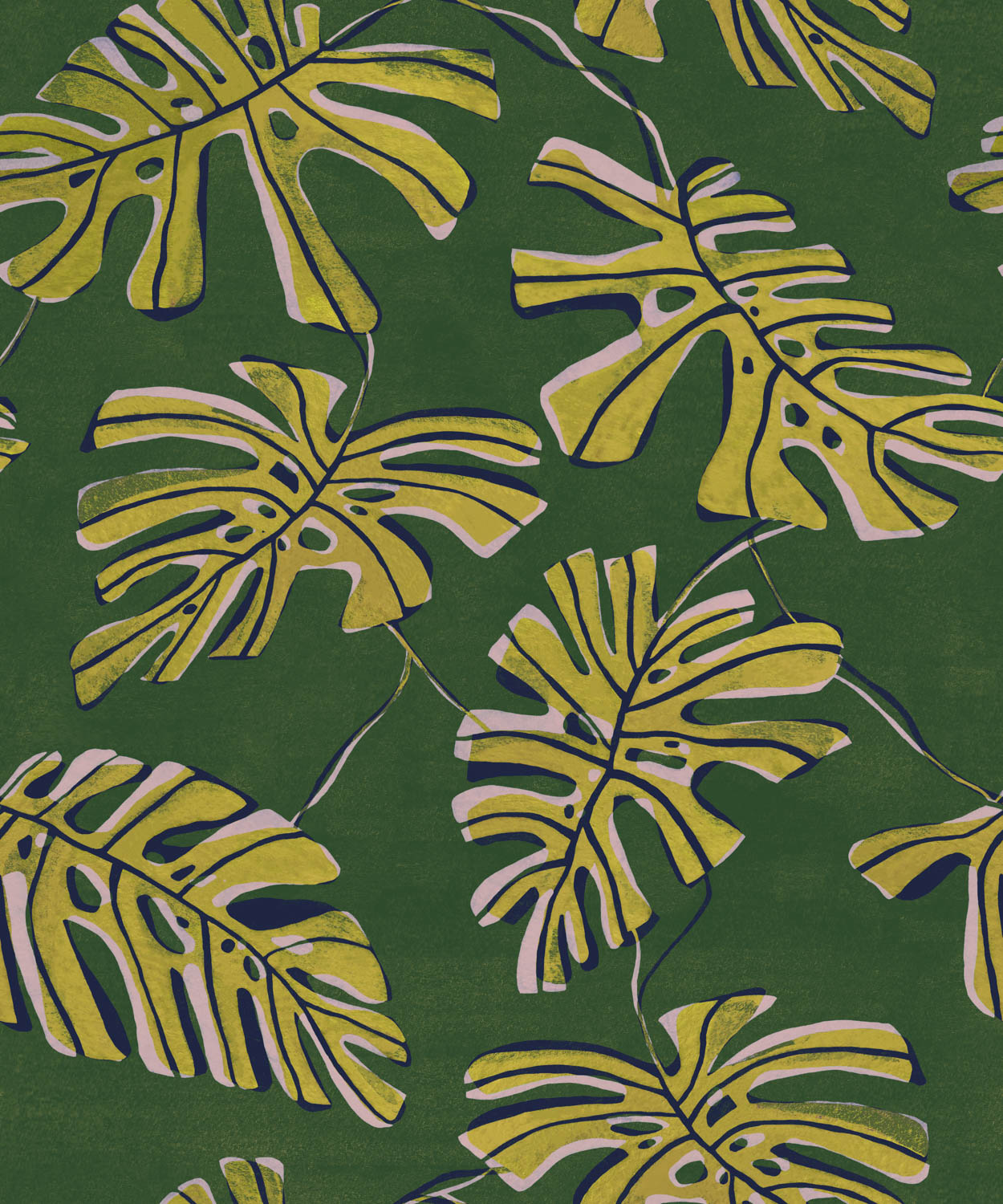 Monstera Verde
