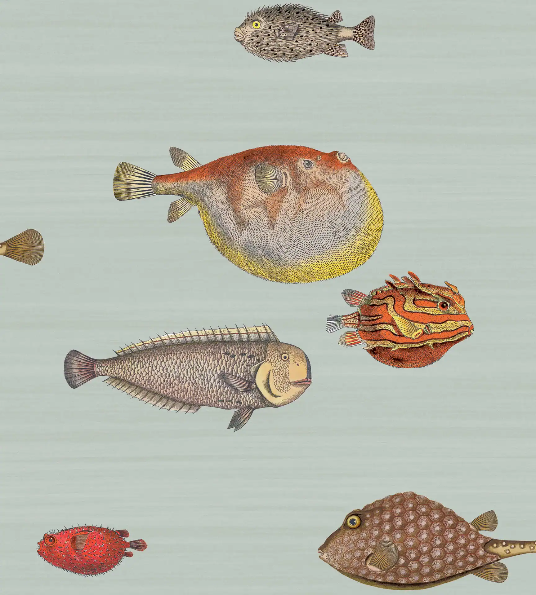 Acquario - Papier Peint