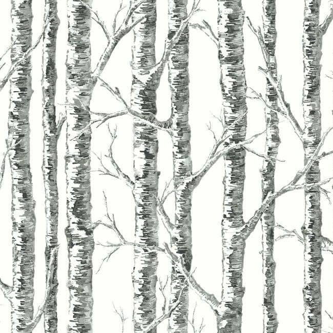 Birch - Papier Peint