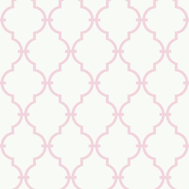 Pink Trellis - Papier Peint