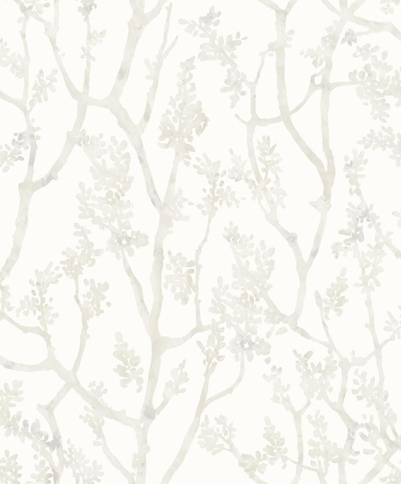Arbre - Papier Peint