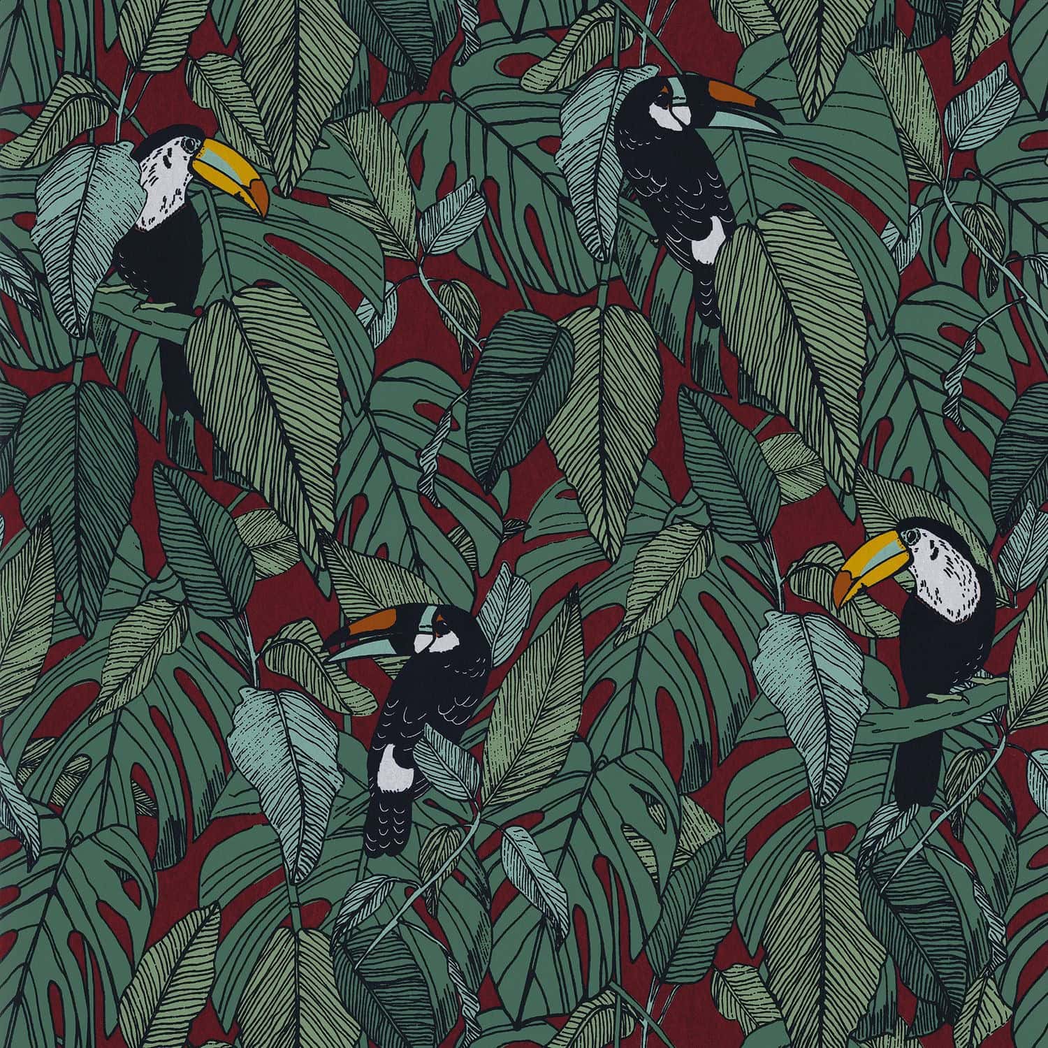 Tucan - Papier Peint
