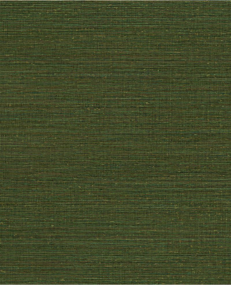 Canvas - Green (313509)