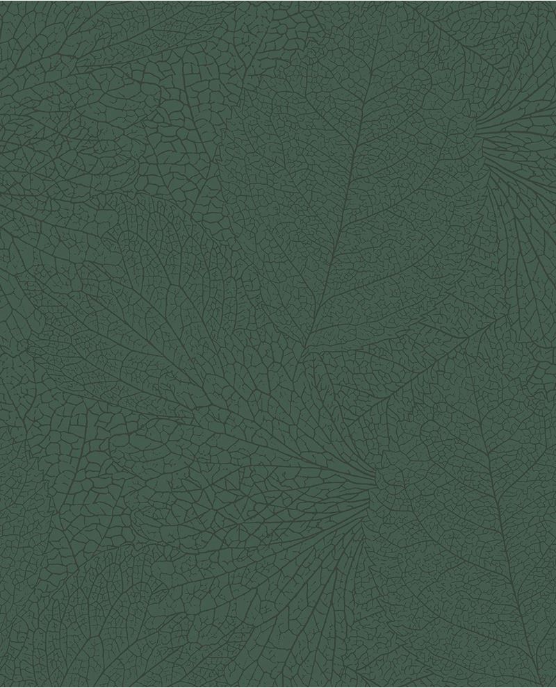 Embrace - Green (324044)