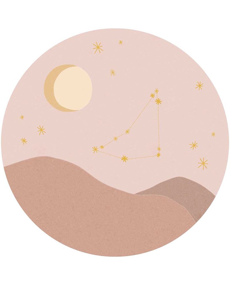Explorer - Pink (323111)