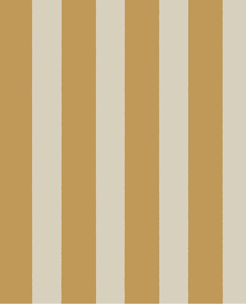 Explore - Yellow/Ocher (323044)
