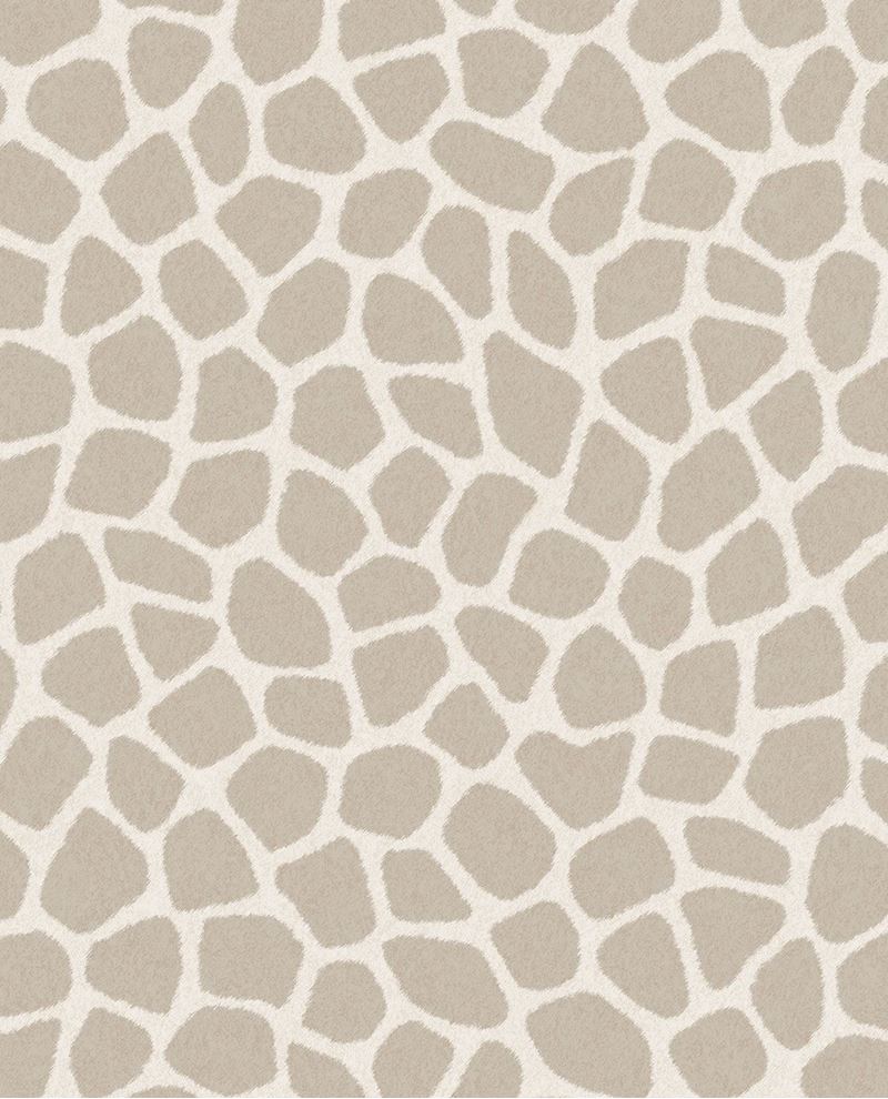 Explore - Grey/Silver (323031)