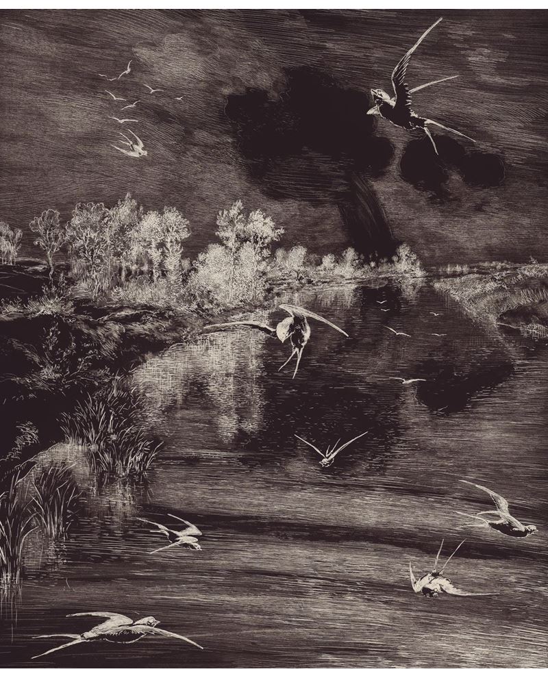 Geonature - Black (366100)