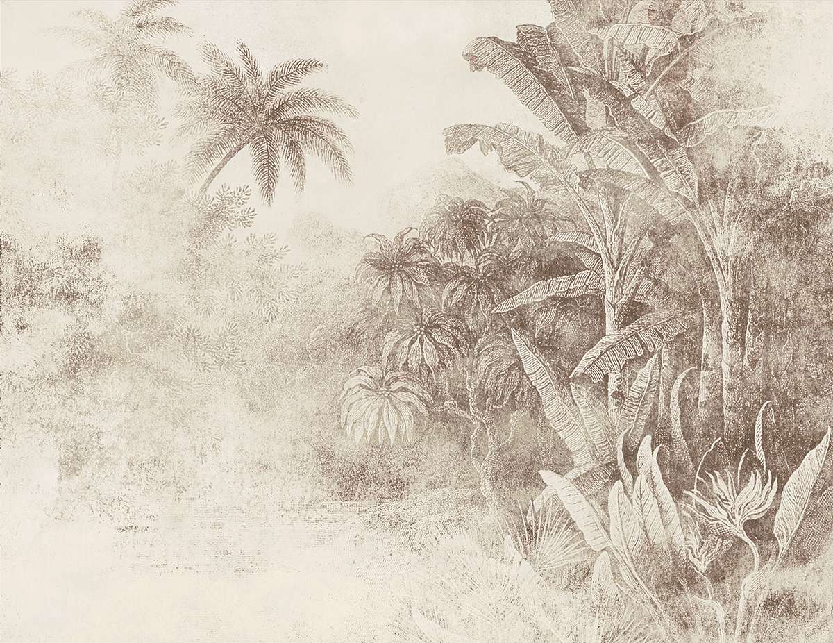 Congo M3022-2