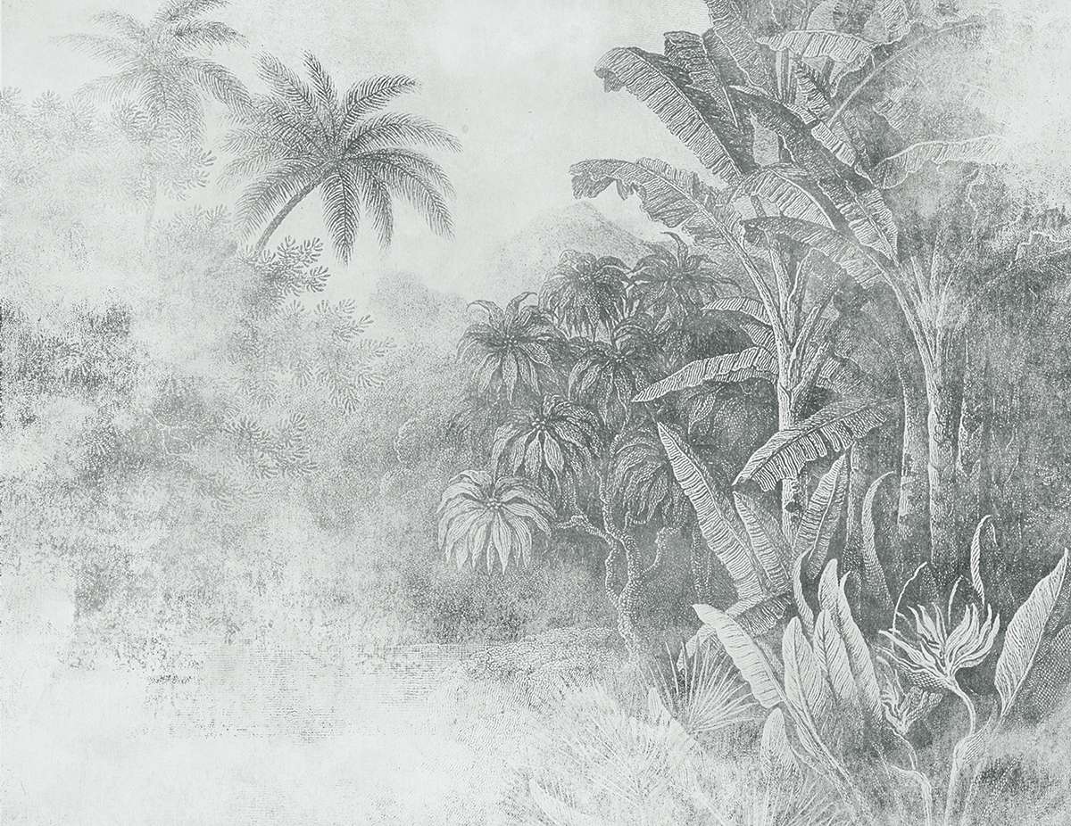 Congo M3022-1