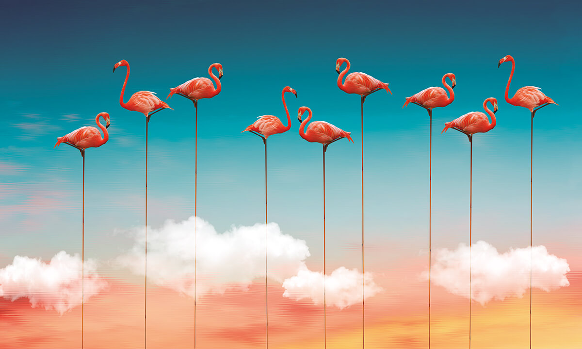 Flamingos M3911-1