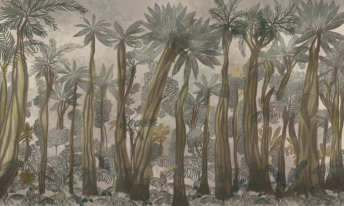 Adansonia M3905-2