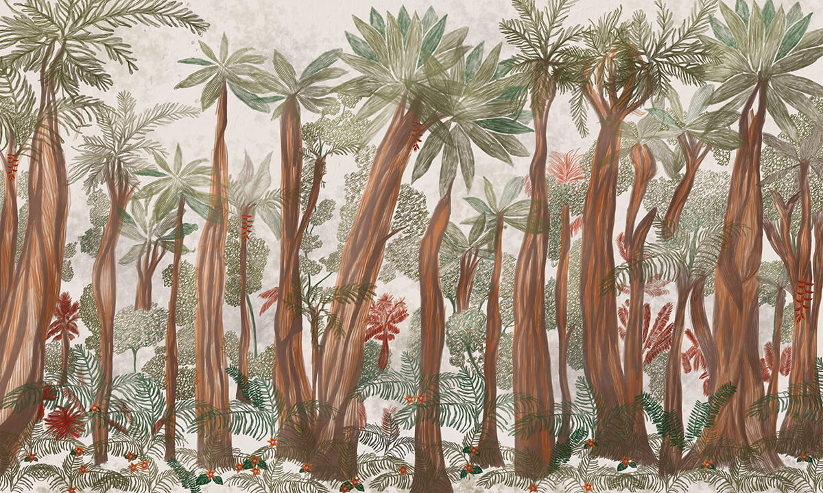Adansonia M3905-1