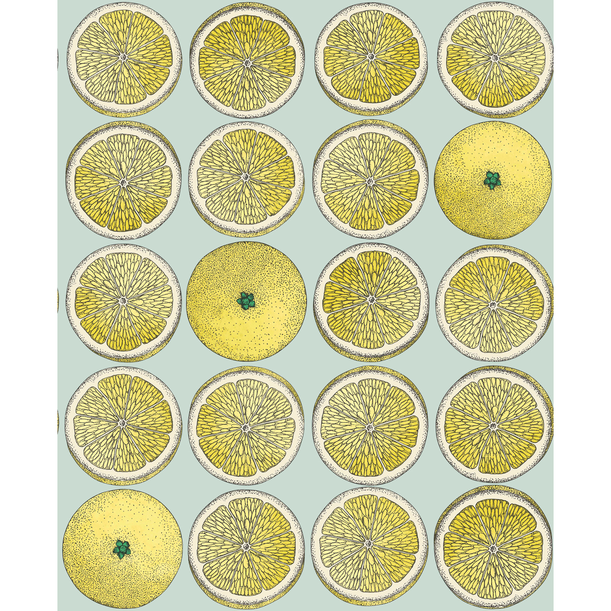 Arance - Lemon/Seafoam