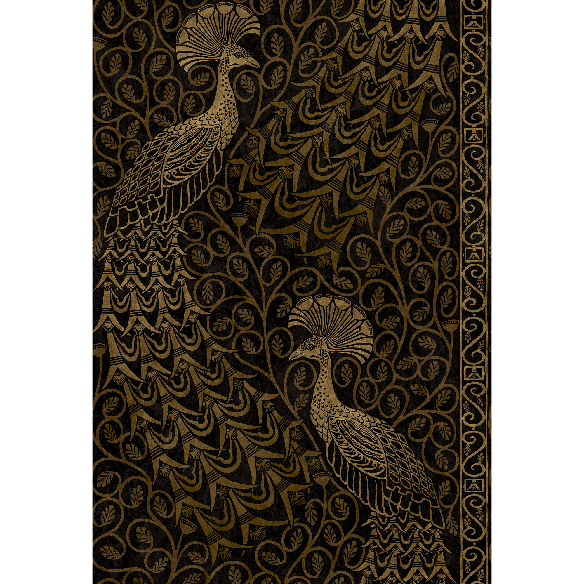 Pavo Parade - M Gold/Soot