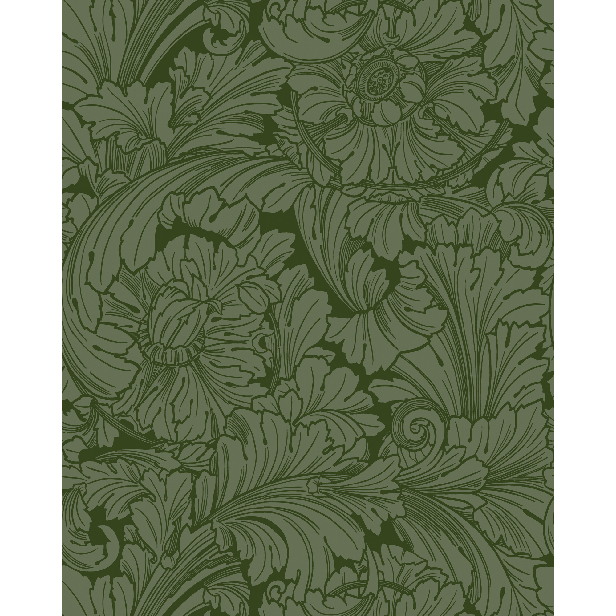 Acanthus - Forest