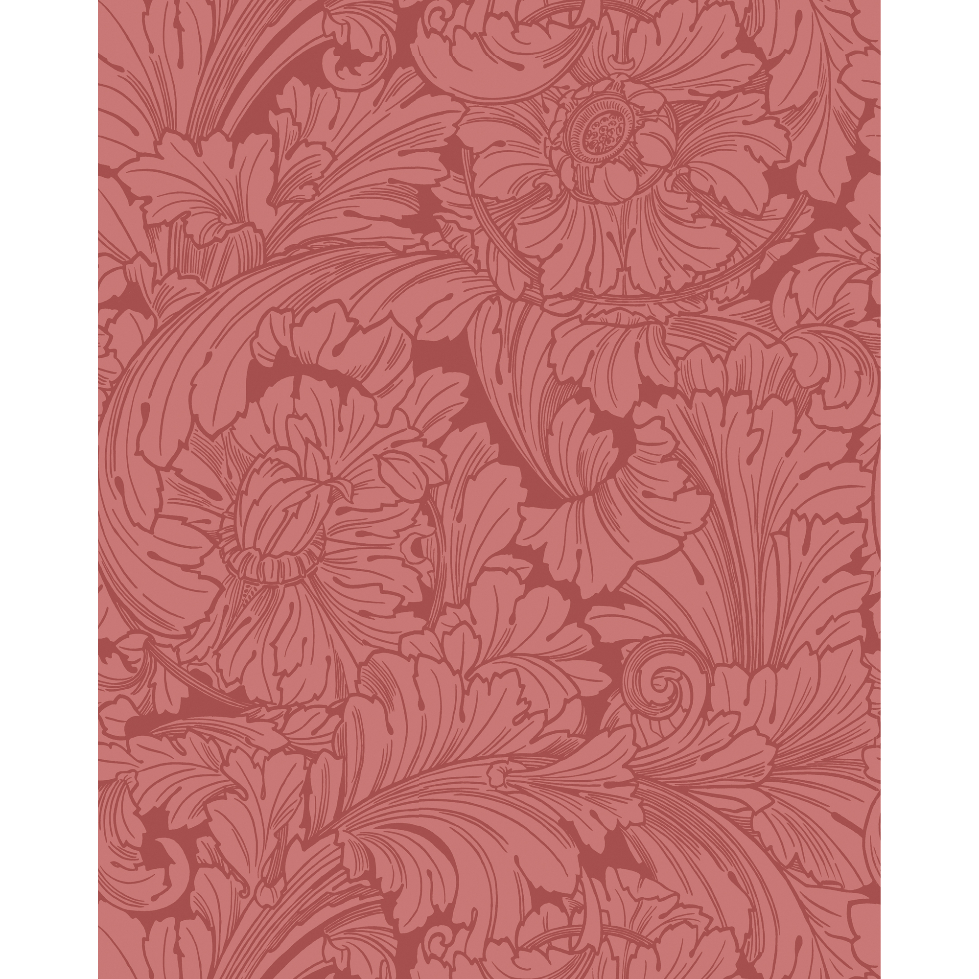 Acanthus - Stately Home Red