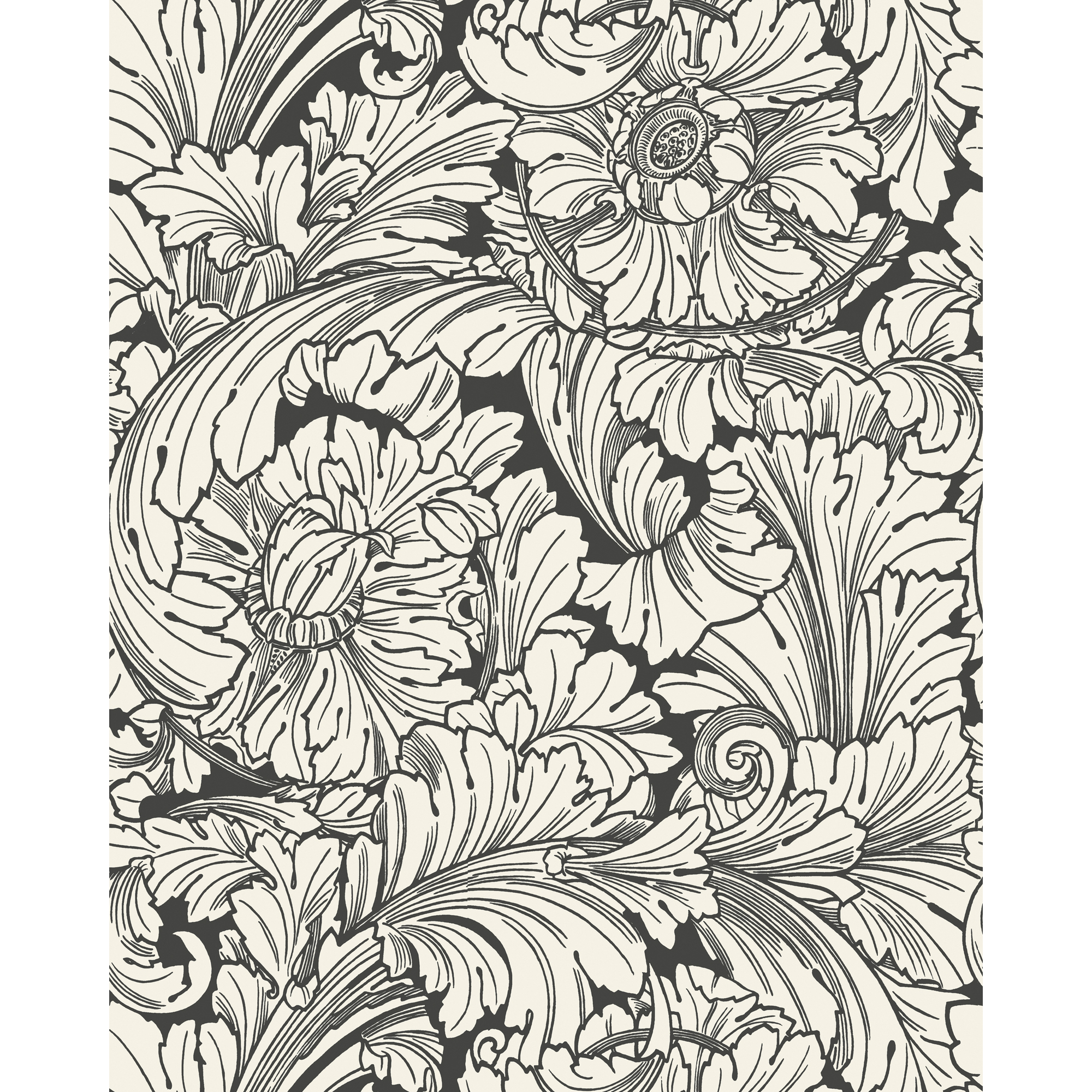 Acanthus - Soot/Snow