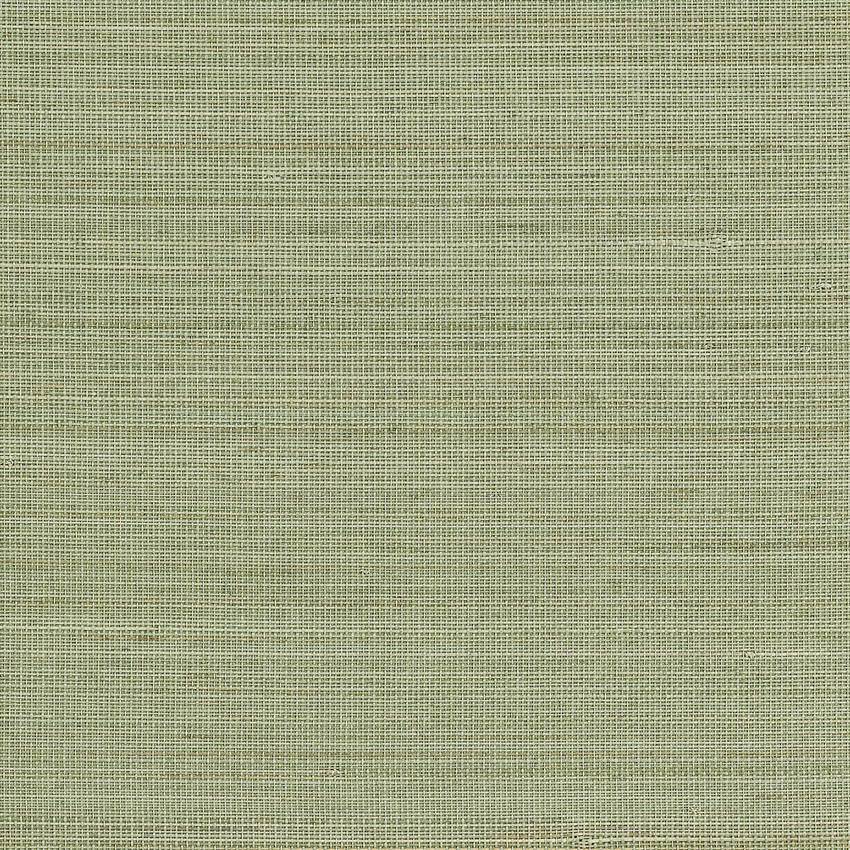 Abaca Harvest - Calm Celadon