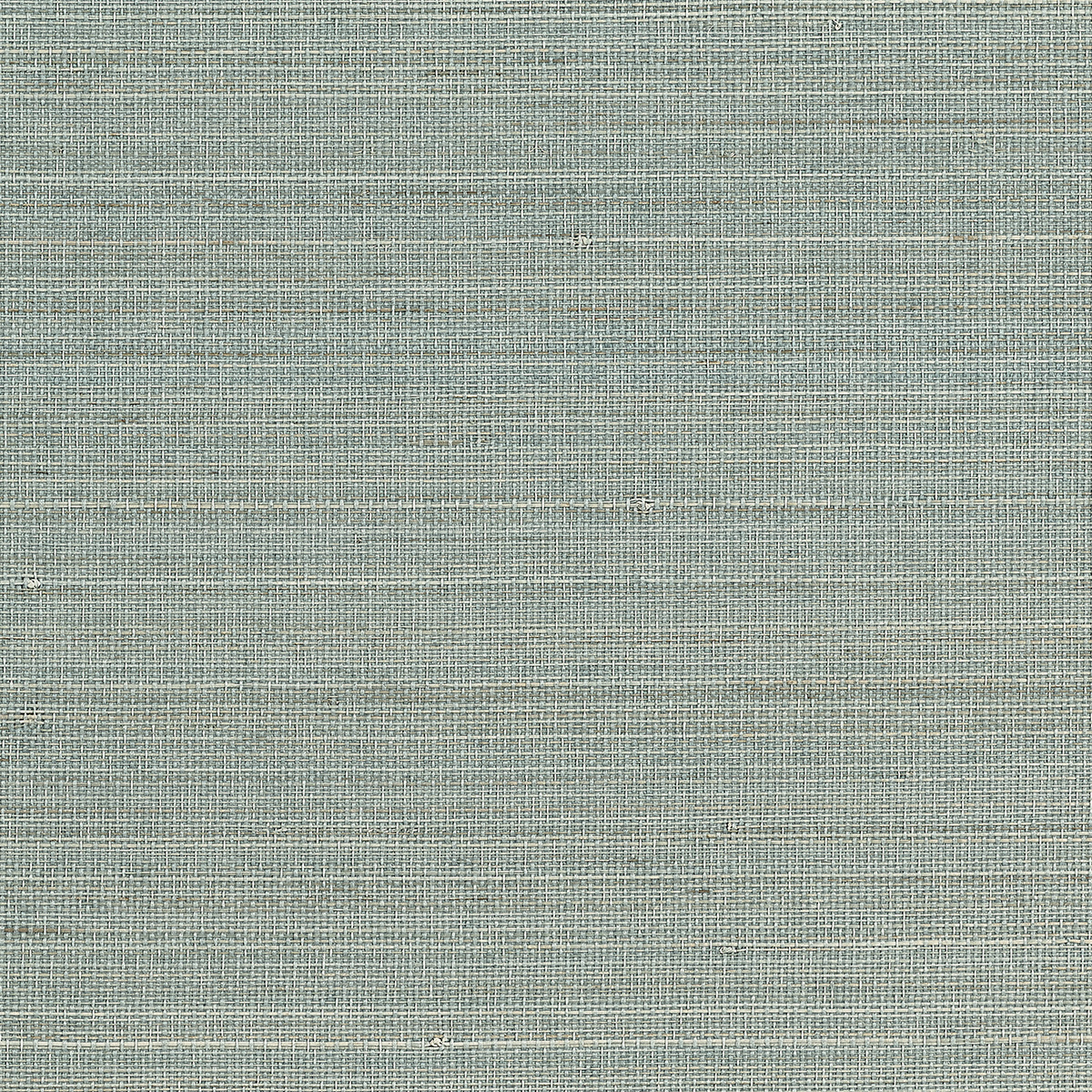 Abaca Harvest - Cyan Canopy