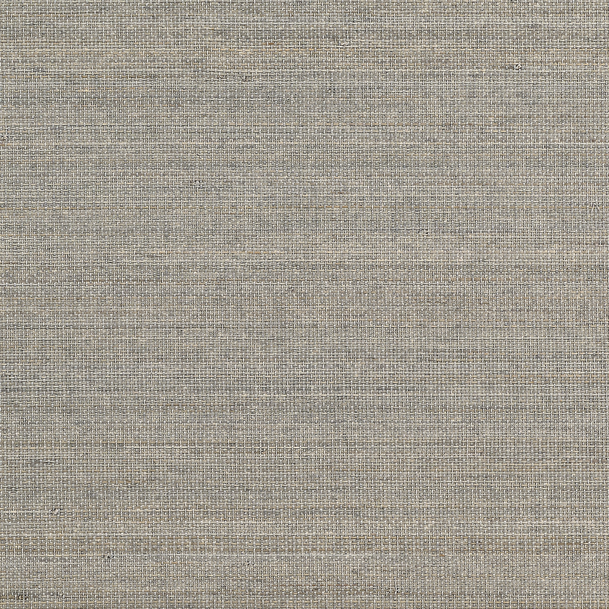 Abaca Harvest - Blue Bay