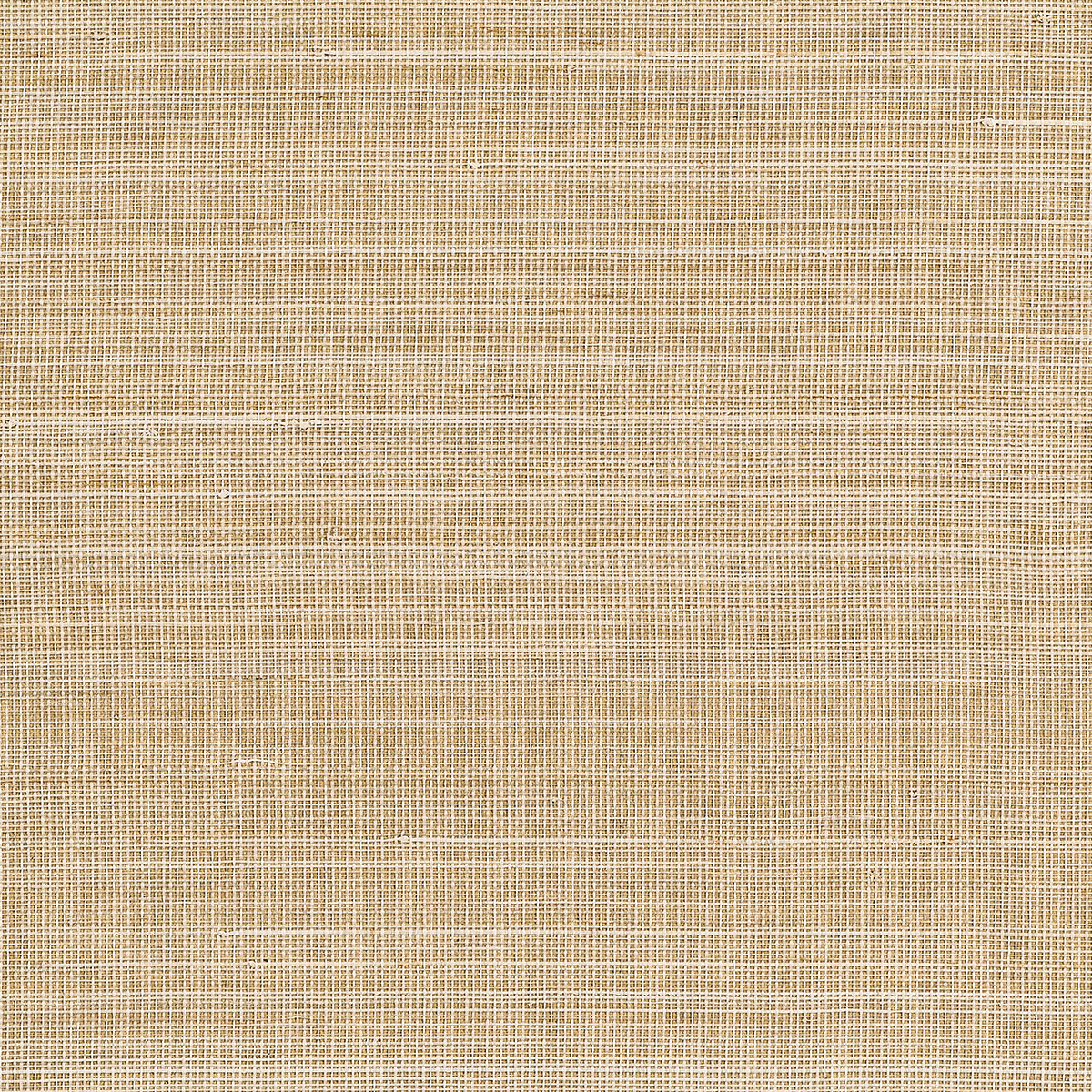Abaca Harvest - Desert Drift