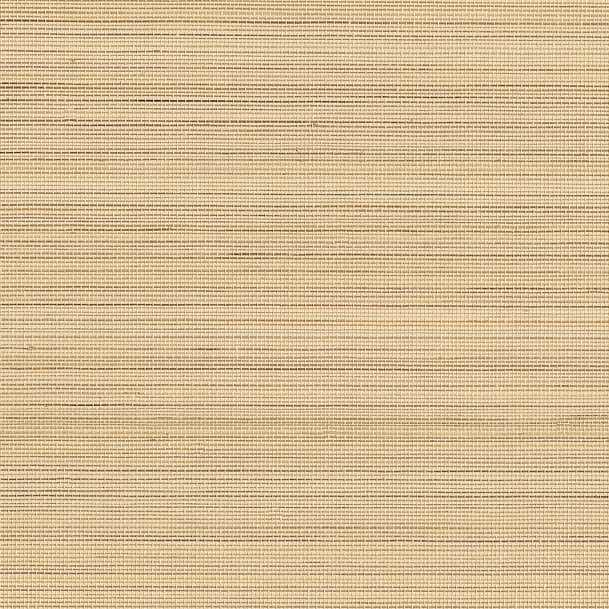 Abaca Harvest - Sunlit Sands
