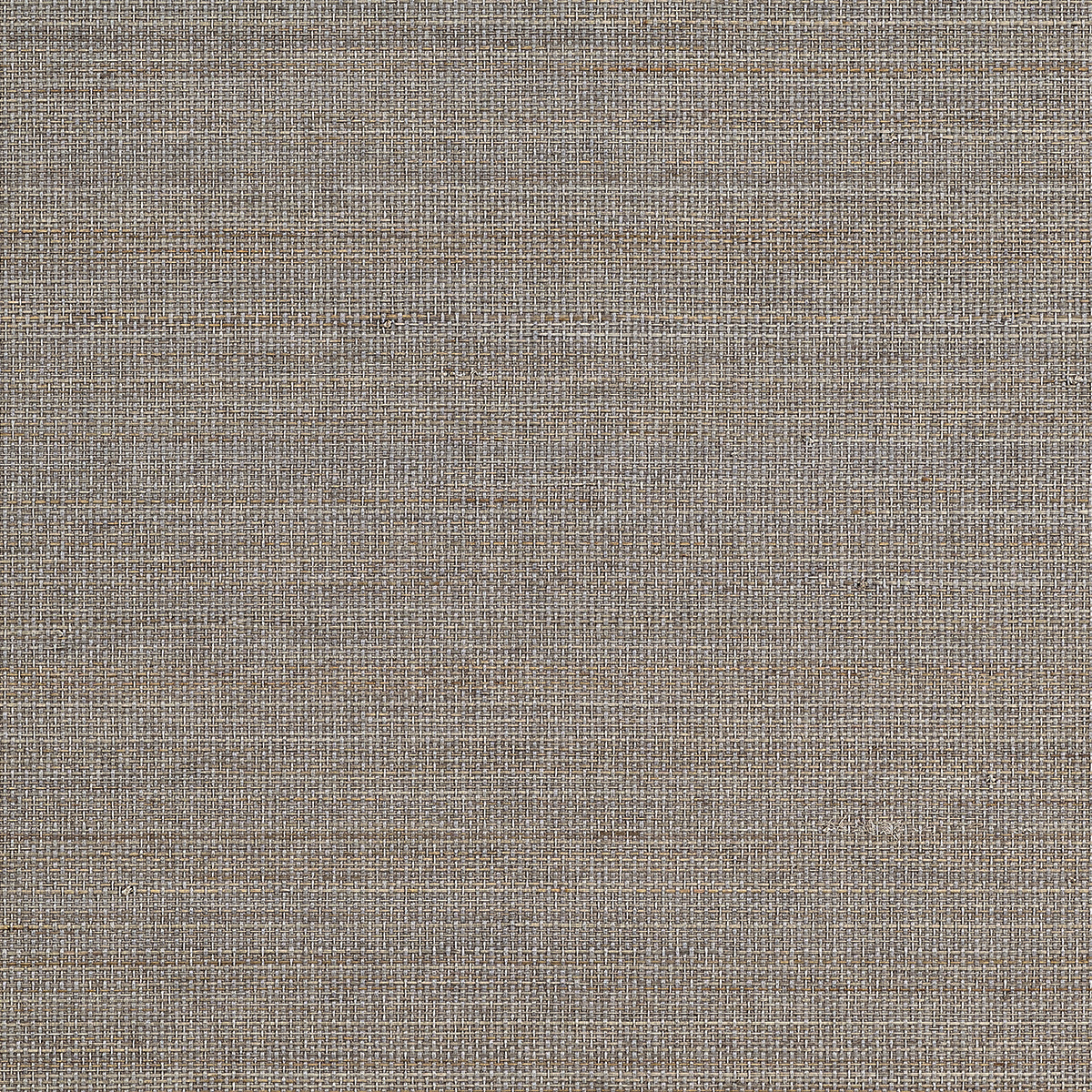Abaca Harvest - Stone Fox